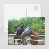 Welke kant ging hij op? briefkaart (Voorkant / Achterkant)