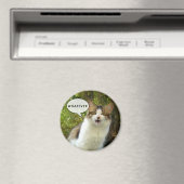 Welke Magneet 01 (Insitu (Vaatwasser))