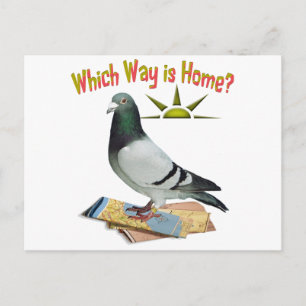 Welke manier is Thuis? Pigeon Art Briefkaart