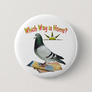 Welke manier is Thuis? Pigeon Art Ronde Button 5,7 Cm