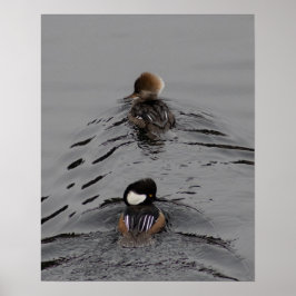 Welke Manier Poster