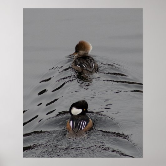 Welke Manier Poster (Voorkant)