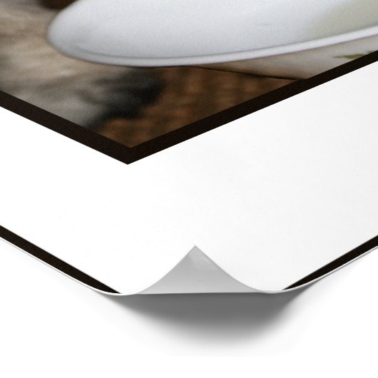 Welke melk? Poster (Hoek)