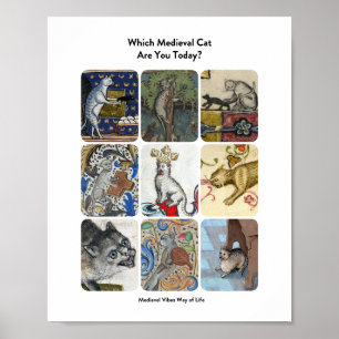 Welke middeleeuwse kat ben jij vandaag? - Hilarisc Poster