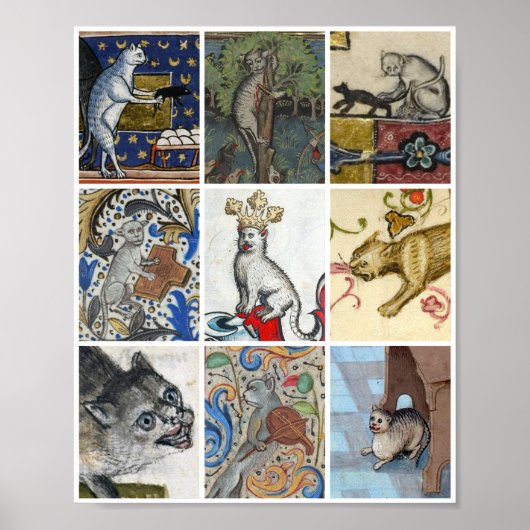 Welke middeleeuwse kat ben jij vandaag? poster (Voorkant)