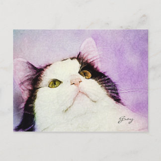 Welke muis? briefkaart