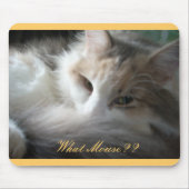 Welke muis? muismat (Voorkant)