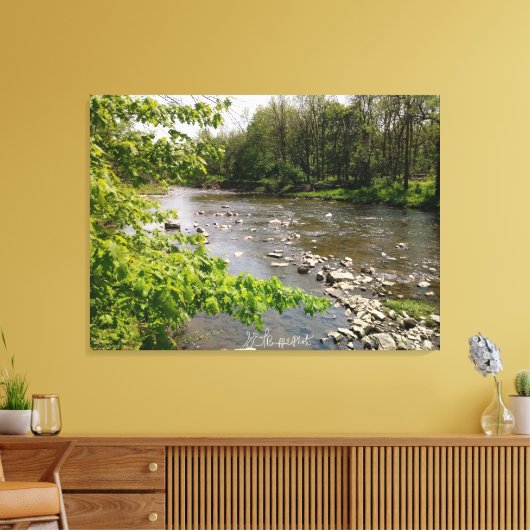 Welke Natuur biedt Canvas Afdruk (Insitu (Woonkamer))