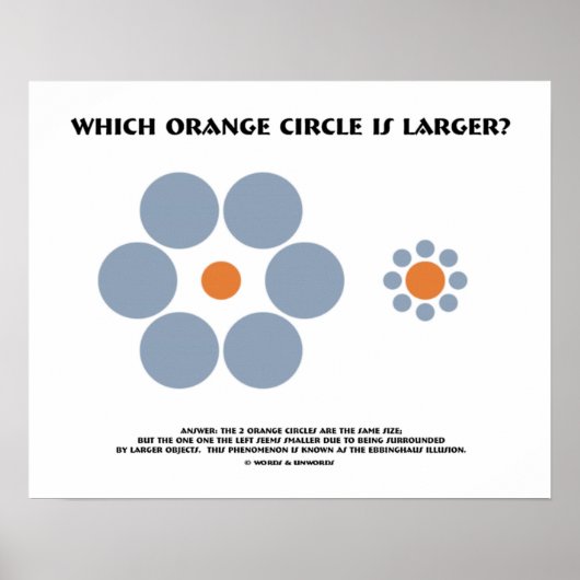 Welke Oranje cirkel is groter? (Optische verlichti Poster (Voorkant)