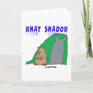 Welke schaduw kaart