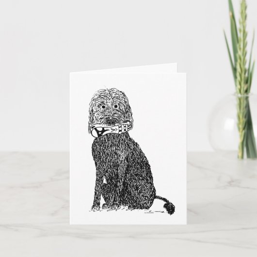 Welke schoen? Kaart (Voorkant)