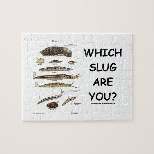 Welke smeerlap ben jij? (Verschillende soorten tap Legpuzzel (Horizontaal)