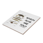 Welke smeerlap ben jij? (Verschillende soorten tap Tegeltje (Zijkant)