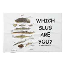 Welke smeerlap ben jij? (Verschillende soorten tap