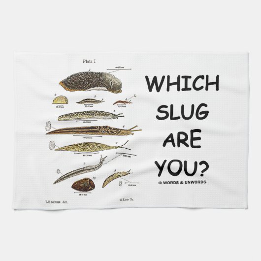 Welke smeerlap ben jij? (Verschillende soorten tap Theedoek (Horizontaal)