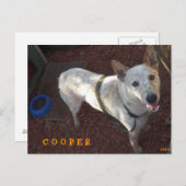 WELKOM AAN UW NIEUWE THUISKOPER AANKONDIGINGSKAART (Voorkant / Achterkant)