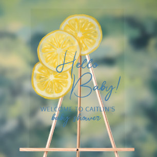 Welkom baby shower citroenen Acryl teken Bord