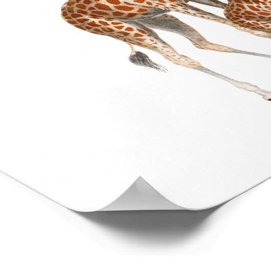 Welkom Baby shower Cute Elephant & Giraffe Sign Poster (Hoek)