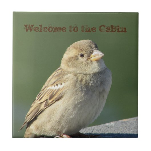 Welkom bij Cabin Small Brown Sparrow Photo Bird Tegeltje (Voorkant)