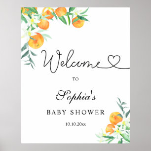 Welkom bij de babyshower van de kleine schat poster