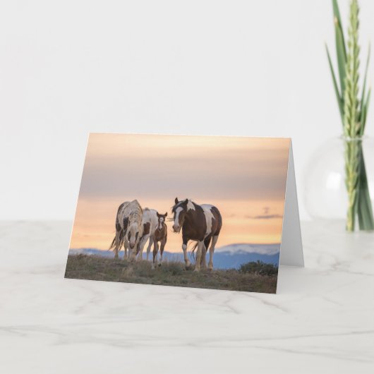 "Welkom bij de wereld" Opmerkingskaart Kaart (Voorkant)