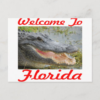 Welkom bij Florida Gator Briefkaart
