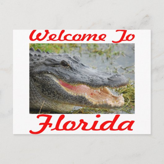 Welkom bij Florida Gator Briefkaart (Voorkant)