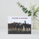 Welkom bij het Briefkaart van Nebraska (Staand voorkant)
