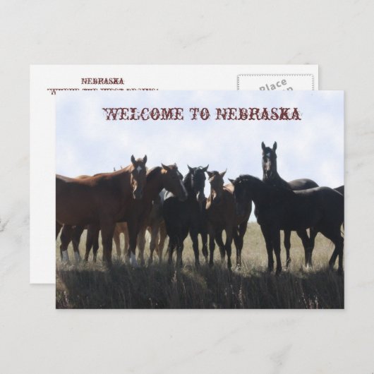 Welkom bij het Briefkaart van Nebraska (Voorkant / Achterkant)