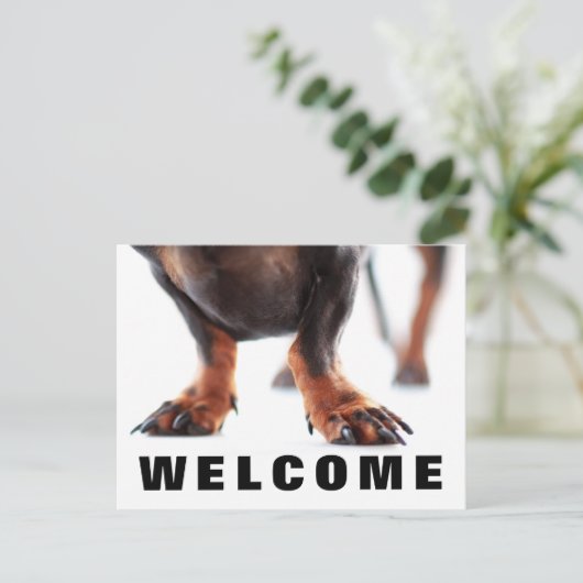 Welkom bij het Briefkaart van onze Kantoor huisdie (Staand voorkant)