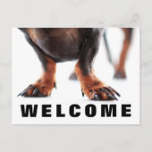 Welkom bij het Briefkaart van onze Kantoor huisdie (Voorkant)