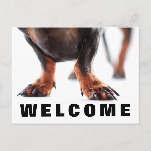 Welkom bij het Briefkaart van onze Kantoor huisdie (Voorkant)