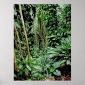 Welkom bij het Oerwoud Poster (Voorkant)