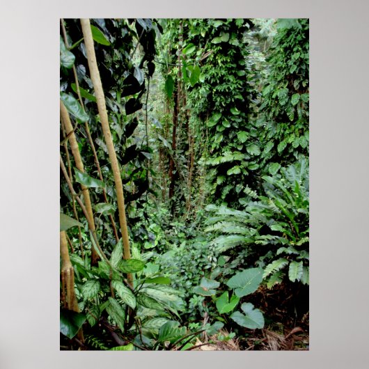 Welkom bij het Oerwoud Poster (Voorkant)