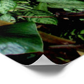 Welkom bij het Oerwoud Poster (Hoek)