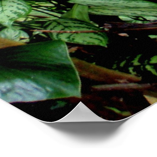 Welkom bij het Oerwoud Poster (Hoek)