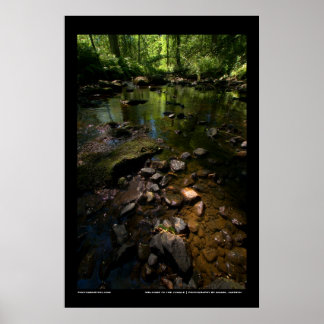 Welkom bij het oerwoud poster