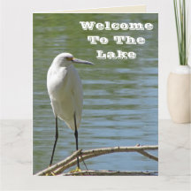 Welkom bij Lake White Egret Photo Lakeside Guest