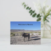 Welkom bij Nevada Briefkaart met 2 burros (Staand voorkant)