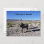 Welkom bij Nevada Briefkaart met 2 burros (Voorkant / Achterkant)