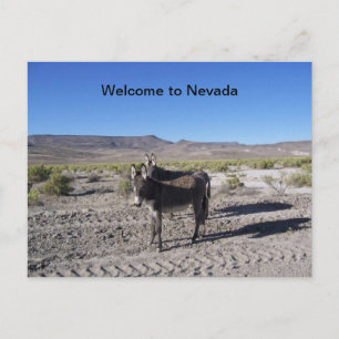 Welkom bij Nevada Briefkaart met 2 burros