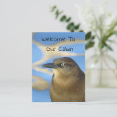 Welkom bij onze Blackbird Photo Wildlife Briefkaart (Staand voorkant)