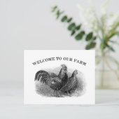 Welkom bij onze Boerderij  Rooster en kip Briefkaart (Staand voorkant)