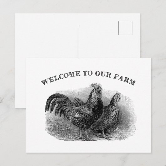 Welkom bij onze Boerderij  Rooster en kip Briefkaart (Voorkant / Achterkant)