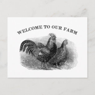 Welkom bij onze Boerderij Rooster en kip Briefkaart
