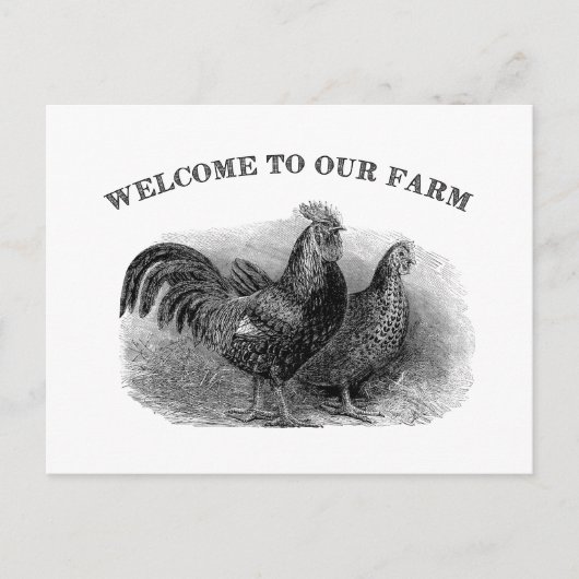 Welkom bij onze Boerderij  Rooster en kip Briefkaart (Voorkant)