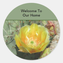 Welkom bij onze Home Southwest Cactus Flower Guest