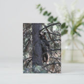 Welkom bij Sisters Briefkaart (Staand voorkant)