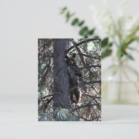 Welkom bij Sisters Briefkaart (Staand voorkant)