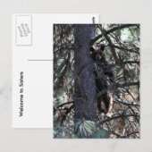 Welkom bij Sisters Briefkaart (Voorkant / Achterkant)